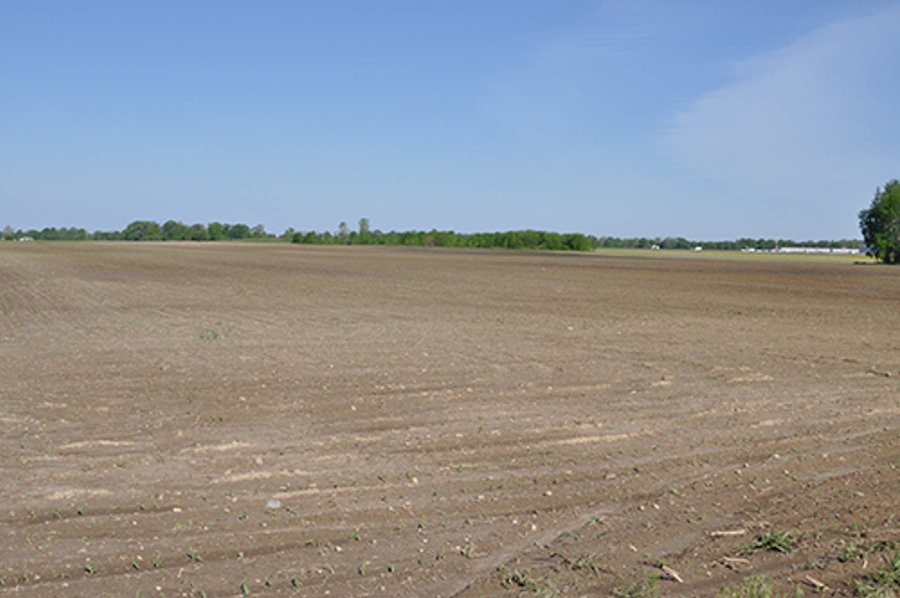 LAND AUCTION, 119.65+/- Acres offered in 3 Tracts